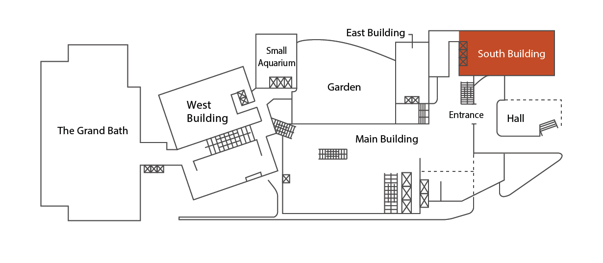 Location in the South Building