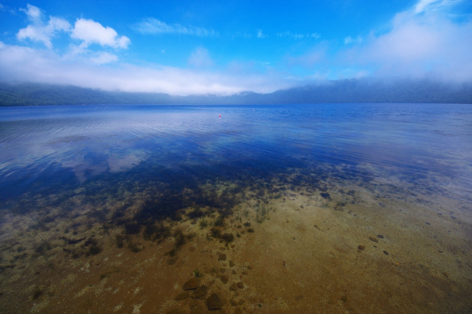 倶多楽湖 透明度の高い水面
